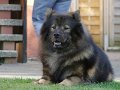 rudel (12)
